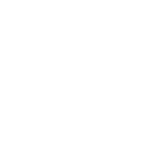 Saint gobain