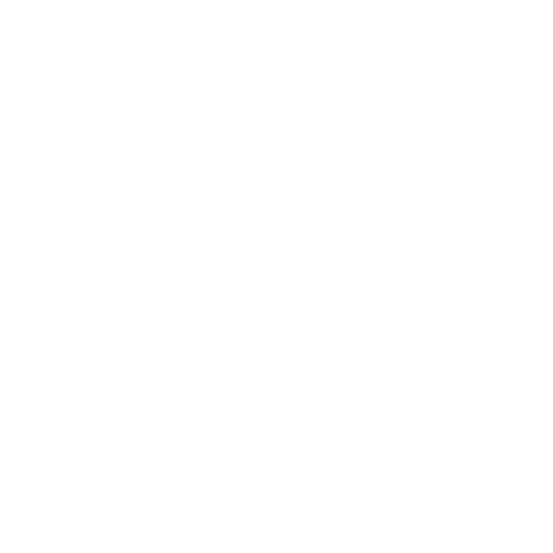 allen solly